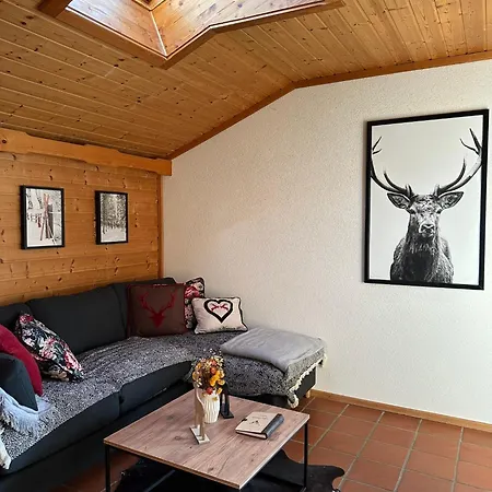 Lilly Chalet- With Private Sauna, Close To Lifts Bad Kleinkirchheim