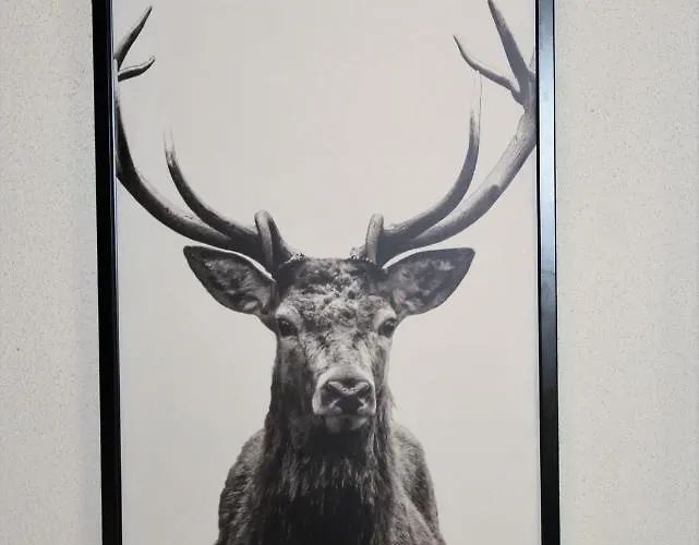 Апартаменти Lilly Chalet- With Private Sauna, Close To Lifts *